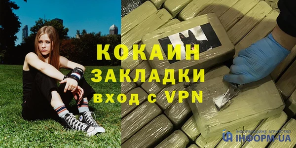 дживик Арсеньев