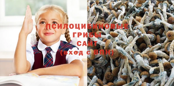 спайс Балабаново