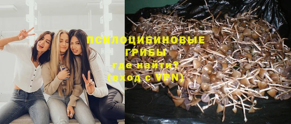 a pvp Армянск