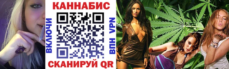 Канабис сатива  Новозыбков 